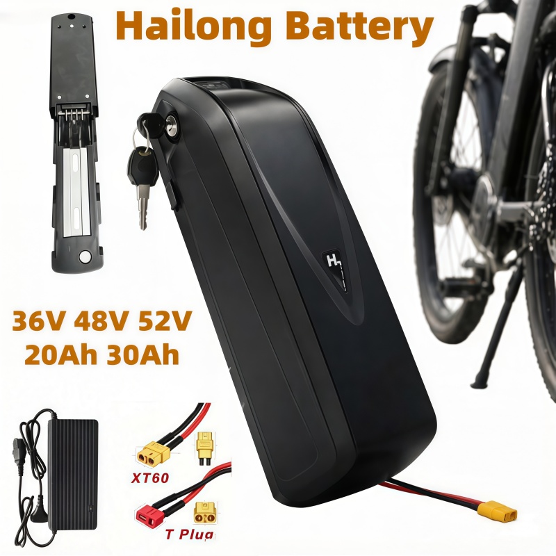 Multi-Size Ebike Battery Hailo - Ebike Battery 48V 20Ah Hailong 评论和价格
