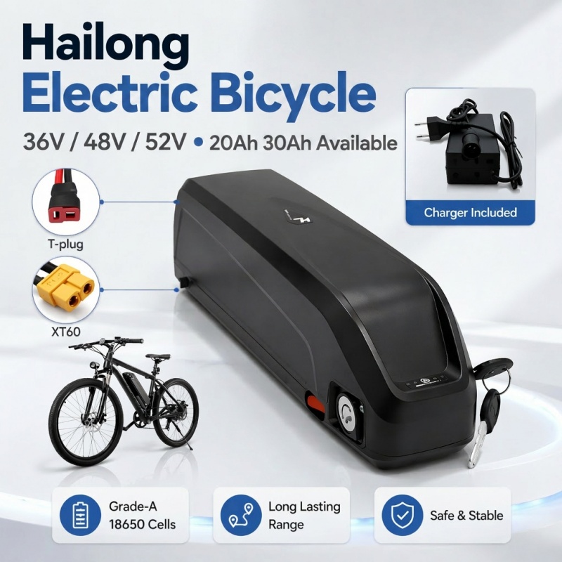 Multi-Size Ebike Battery Hailo - Ebike Battery 48V 20Ah Hailong 评论和价格